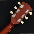 画像14: Greco　1980 EG500GS w/Bigsby Mod [ヴィンテージ品] (14)
