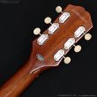 画像10: Epiphone　Les Paul Junior [Tobacco Burst] (10)