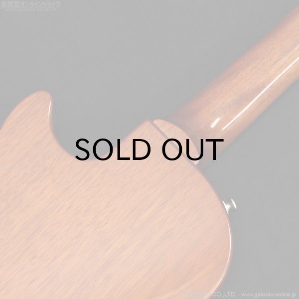 画像11: Epiphone　Les Paul Junior [Tobacco Burst] (11)