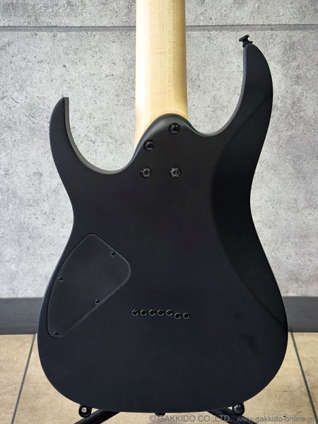 画像4: Ibanez　RG7421EX BKF [Black Flat] (4)