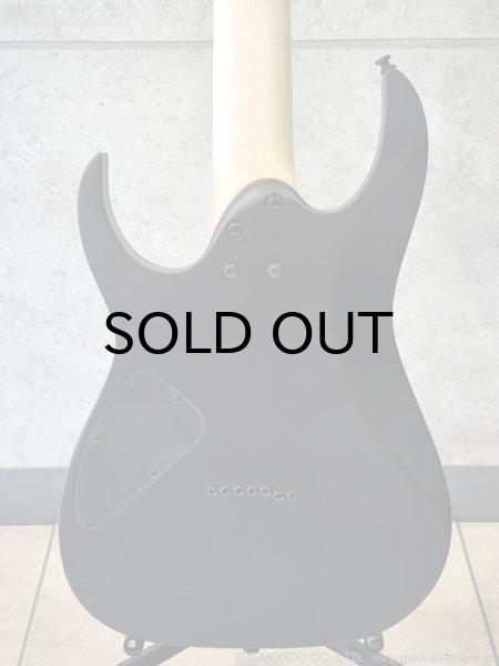 画像4: Ibanez　RG7421EX BKF [Black Flat] (4)
