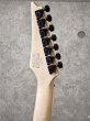 画像8: Ibanez　RG7421EX BKF [Black Flat] (8)