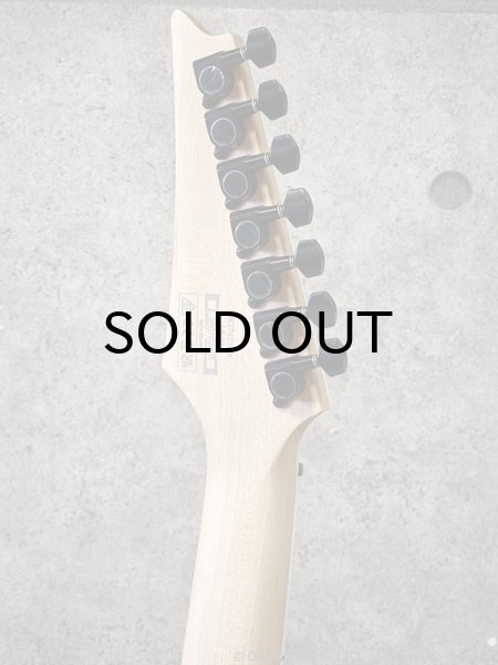 画像8: Ibanez　RG7421EX BKF [Black Flat] (8)