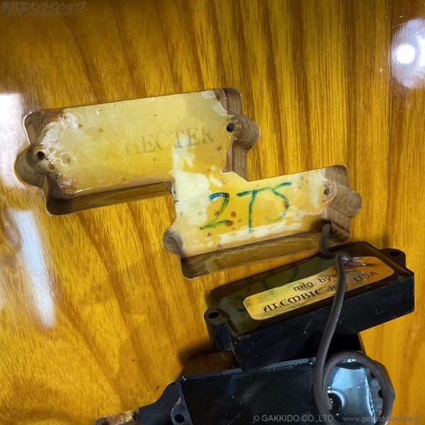 画像21: SCHECTER　PJ Type Bass 2TS w/Alembic Pickups [2-Tone Sunburst] [中古品] (21)