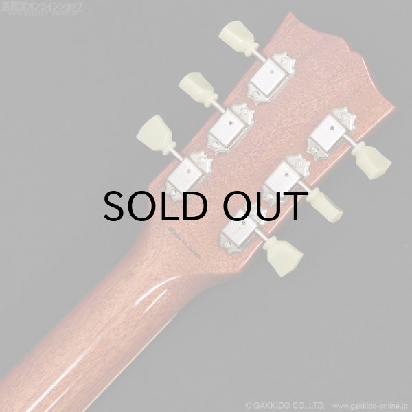 画像12: Tokai　LS-101 LD [Lemon Drop] (12)