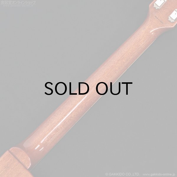 画像10: Tokai　LS-101 LD [Lemon Drop] (10)