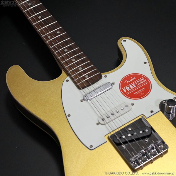 画像10: Squier　Paranormal Custom Nashville Stratocaster [Aztec Gold] [半期決算セール特価] (10)
