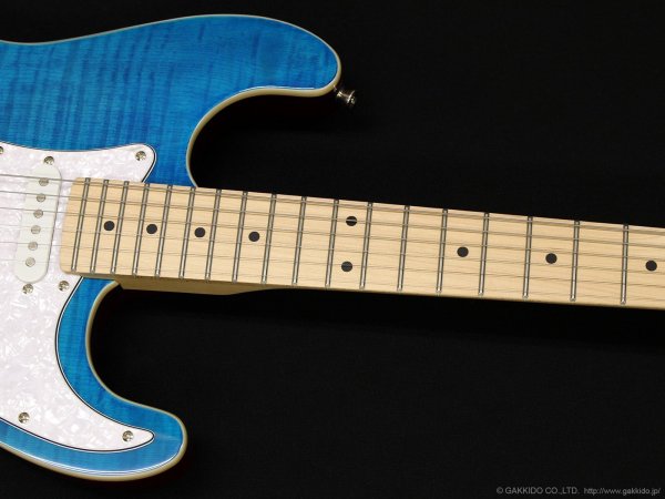 画像4: Sfida　SST-650 [Blue] (4)