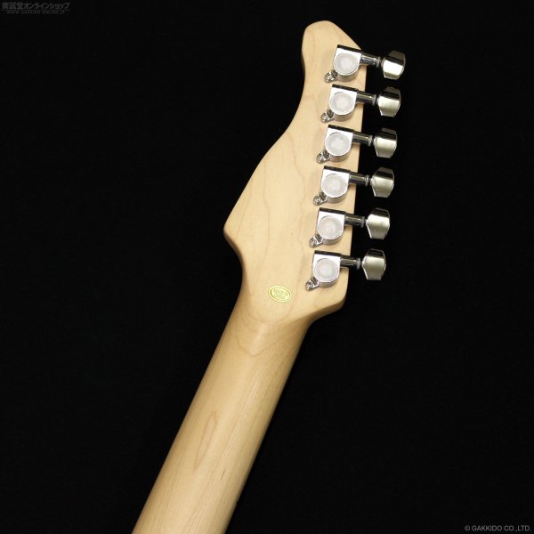 画像6: Sfida　SST-650 [Blue] (6)