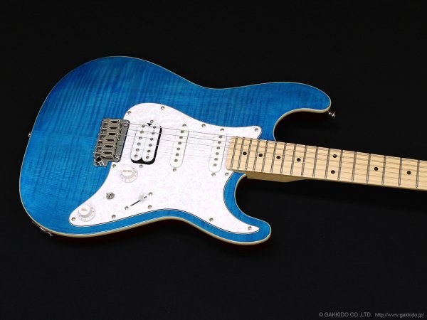 画像3: Sfida　SST-650 [Blue] (3)