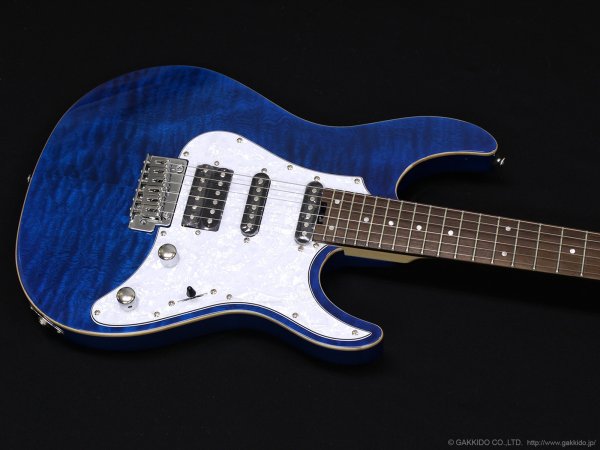 画像3: GrassRoots　G-SN-CTM Snapper [See Thru Blue] (3)