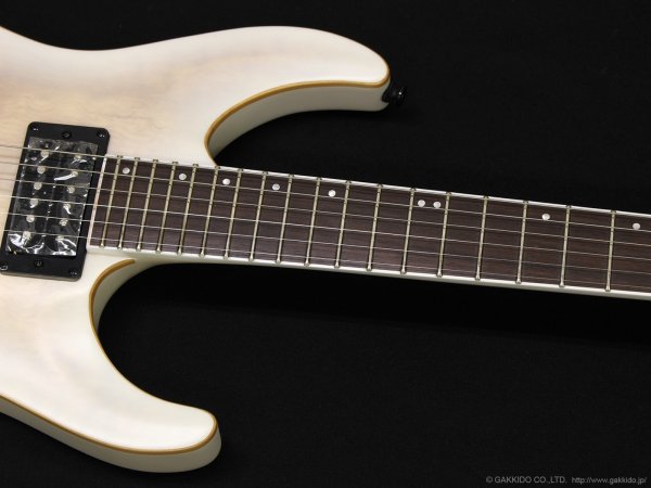 画像5: GrassRoots　G-HORIZON-FX [See Thru White Sunburst Satin] (5)