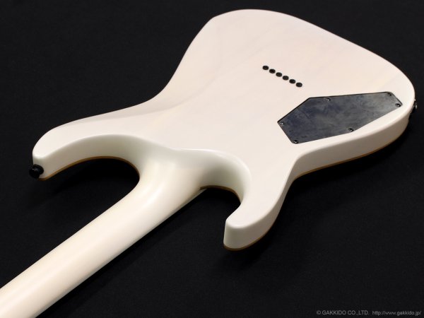 画像8: GrassRoots　G-HORIZON-FX [See Thru White Sunburst Satin] (8)