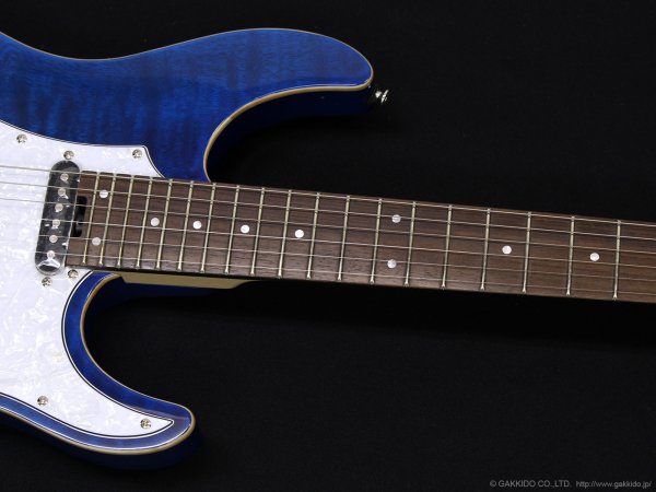 画像4: GrassRoots　G-SN-CTM Snapper [See Thru Blue] (4)