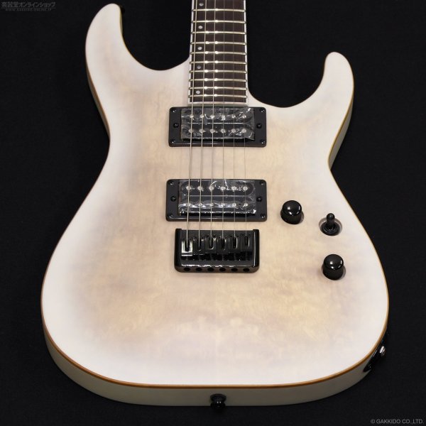 画像3: GrassRoots　G-HORIZON-FX [See Thru White Sunburst Satin] (3)