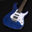 画像2: GrassRoots　G-SN-CTM Snapper [See Thru Blue] (2)