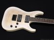 画像4: GrassRoots　G-HORIZON-FX [See Thru White Sunburst Satin] (4)