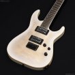画像2: GrassRoots　G-HORIZON-FX [See Thru White Sunburst Satin] (2)