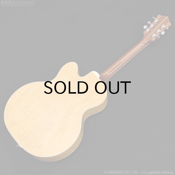 画像18: Guild　X150 Savoy [Blonde] [中古品] (18)