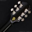 画像10: Epiphone　2023 Shinichi Ubukata ES-355 ver.02 [Ebony] [中古品] (10)