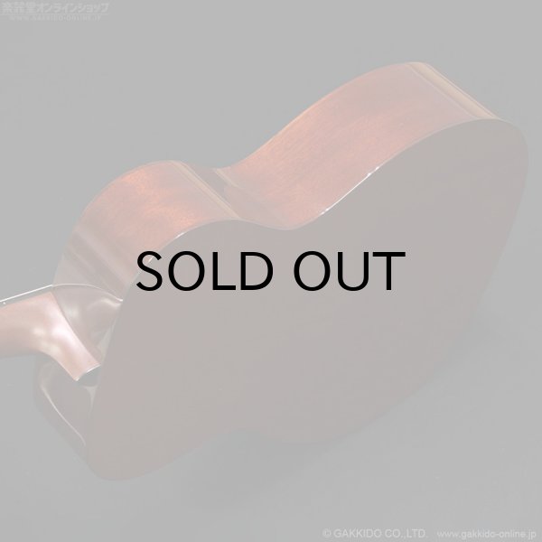 画像6: Martin　2006 OM-18GE 1930 Golden Era [中古品] (6)