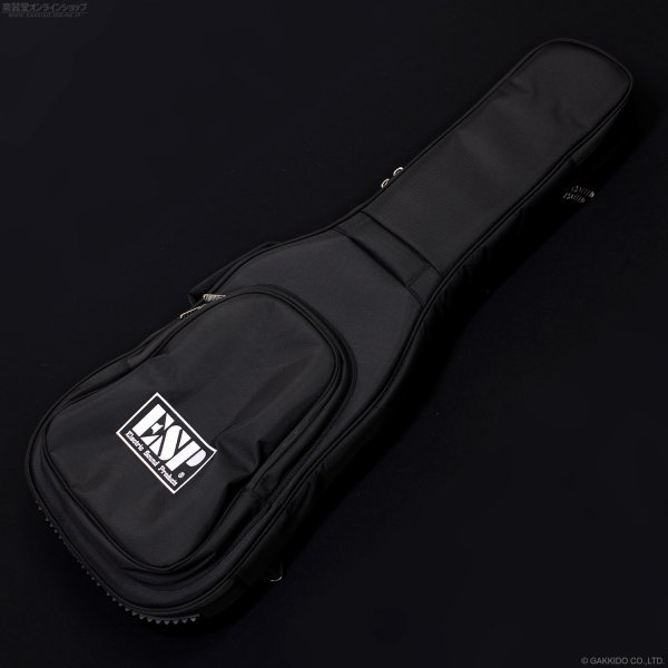 画像14: EDWARDS Platinum E-STREAM-Miku-Custom -SAKURA MIKU Edition- (14)