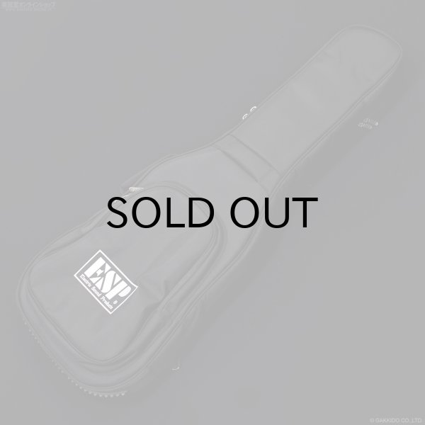 画像14: EDWARDS　Platinum E-STREAM-Miku-Custom -SAKURA MIKU Edition- (14)