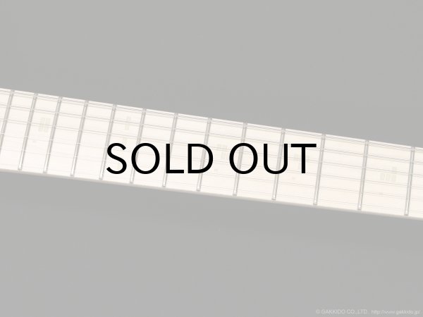 画像7: EDWARDS　Platinum E-STREAM-Miku-Custom -SAKURA MIKU Edition- (7)