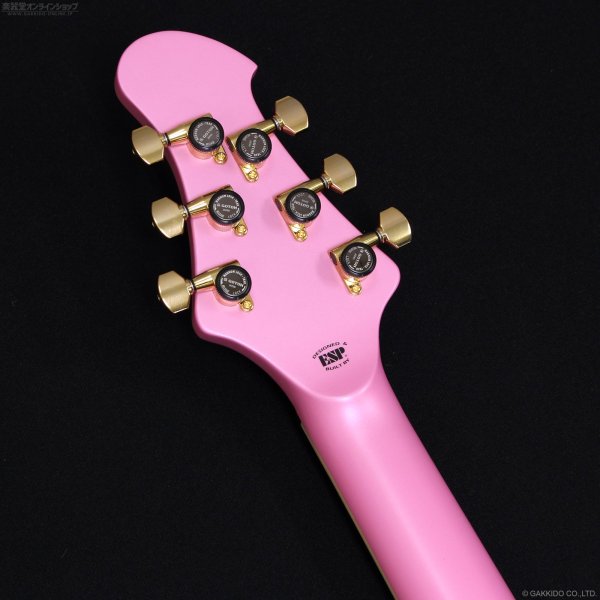 画像9: EDWARDS Platinum E-STREAM-Miku-Custom -SAKURA MIKU Edition- (9)