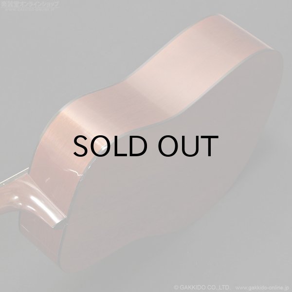 画像6: Martin　2001 D-18GE 1934 Golden Era [中古品] (6)