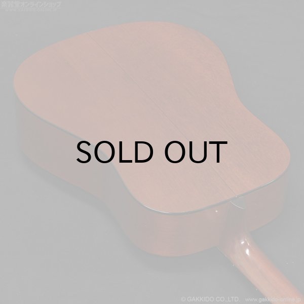 画像19: Martin　2001 D-18GE 1934 Golden Era [中古品] (19)