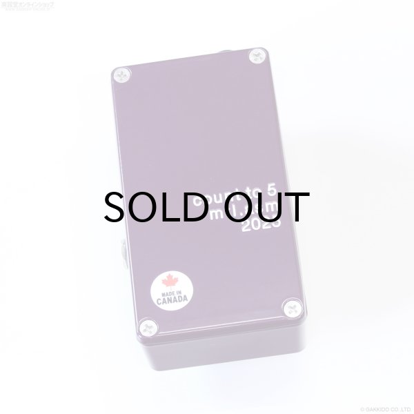 画像3: The Montreal Assembly　Count to 5 (Five) [Dark Purple] 直輸入品 (3)