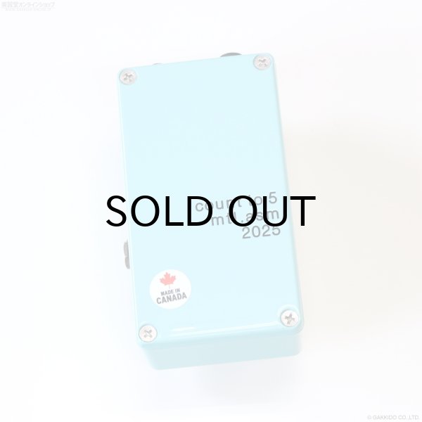 画像4: The Montreal Assembly　Count to 5 (Five) [Light Green] 直輸入品 (4)