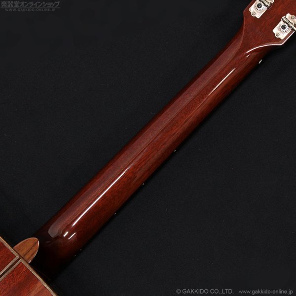 画像12: YAMAHA　2017 The FG [中古品] (12)