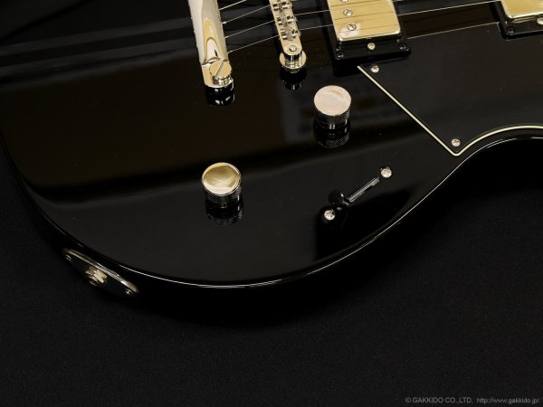 画像8: YAMAHA　RSE20 REVSTAR [Black] [特価品] (8)
