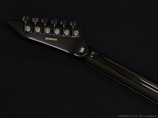 画像8: Edwards　E-Horizon-I [Black] (8)