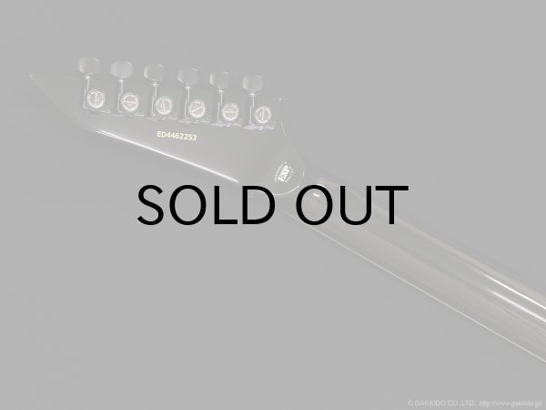 画像8: Edwards　E-Horizon-I [Black] (8)