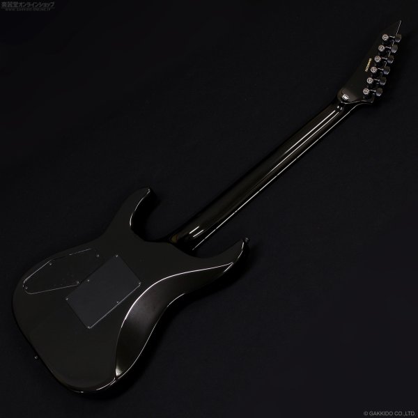 画像10: Edwards　E-Horizon-I [Black] (10)