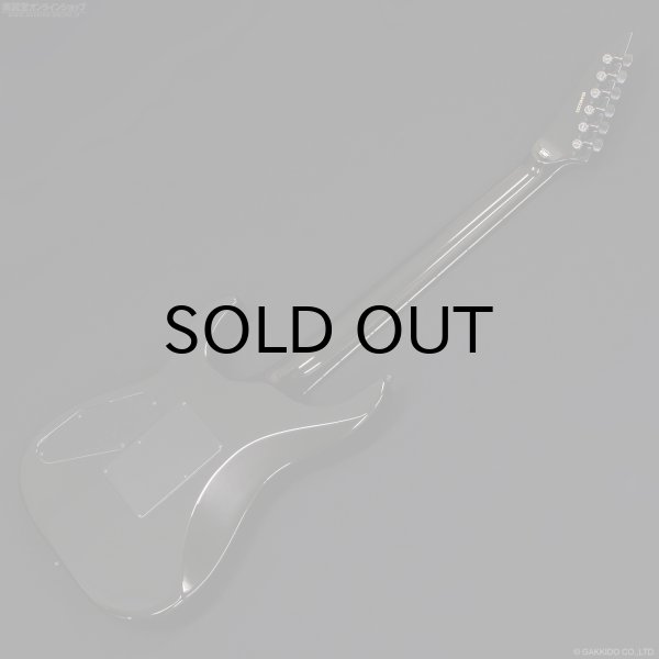 画像10: Edwards　E-Horizon-I [Black] (10)