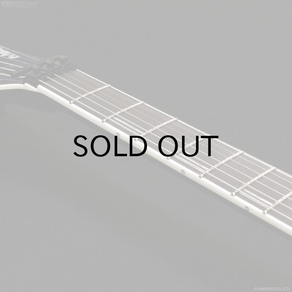 画像12: Edwards　E-Horizon-I [Black] (12)