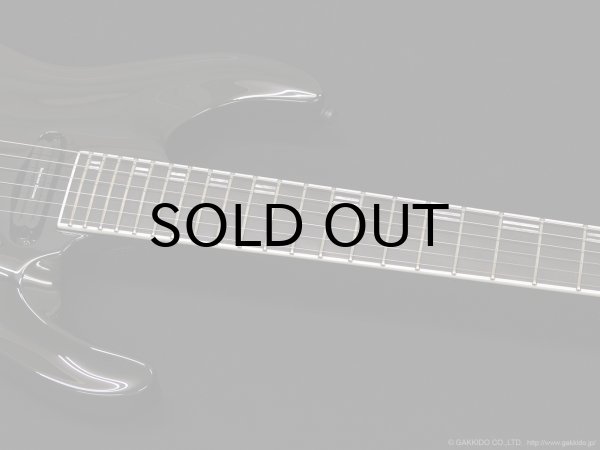 画像6: Edwards　E-Horizon-I [Black] (6)