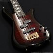 画像4: Spector　Icon NS-2 Bolt-On [Black Cherry Burst] (4)