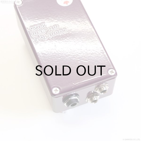 画像6: The Montreal Assembly　Count to 5 (Five) [Dark Purple] 直輸入品 【アウトレット特価】 (6)