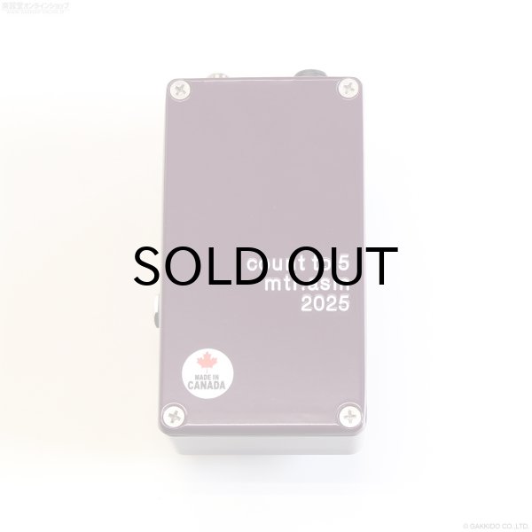 画像4: The Montreal Assembly　Count to 5 (Five) [Dark Purple] 直輸入品 【アウトレット特価】 (4)