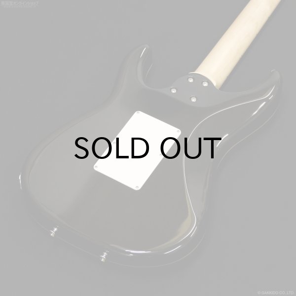 画像9: SCHECTER　SD-2-24-AL AQB/M [Aqua Blue] (9)