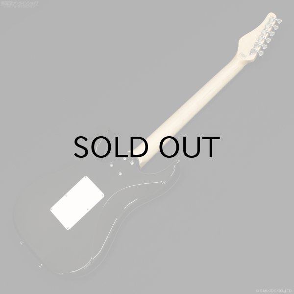 画像10: SCHECTER　SD-2-24-AL AQB/M [Aqua Blue] (10)