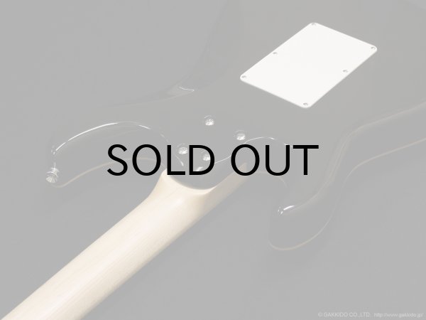 画像8: SCHECTER　SD-2-24-AL AQB/M [Aqua Blue] (8)