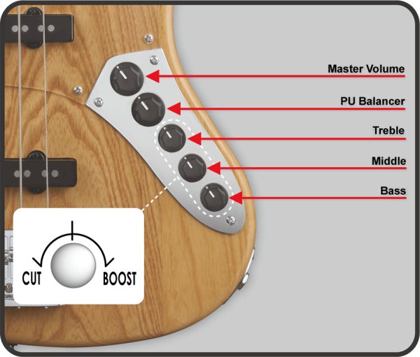 画像8: Grassroots　G-Amaze [See Thru Blue] (8)