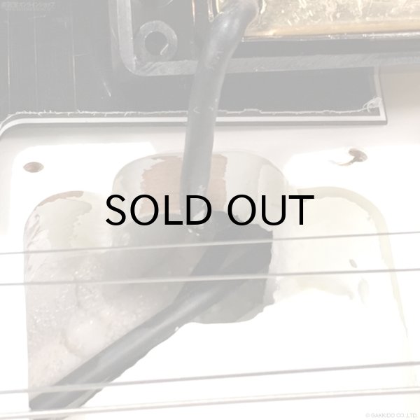 画像13: Edwards　E-LP-CTM “All Mahogany” WH [White] [当店オリジナルモデル] [デジマート連動セール特価] (13)