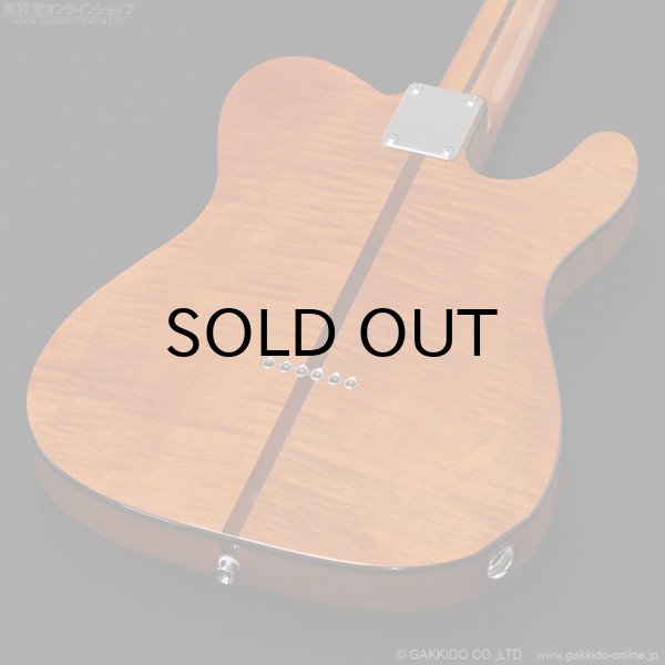 画像15: H.S.Anderson　HS-1 LH Mad Cat [左利き用モデル] (15)